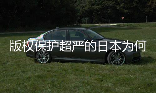 二创揭秘版权保护本为行人文何同化盛灰色的日地带业界超严